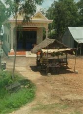 by cfitchey, Views[220]