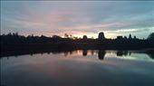 by cfitchey, Views[330]