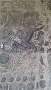 by cfitchey, Views[207]