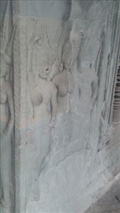 by cfitchey, Views[294]