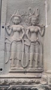 by cfitchey, Views[237]