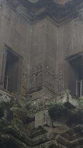 by cfitchey, Views[266]