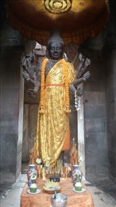 by cfitchey, Views[134]