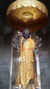 by cfitchey, Views[141]