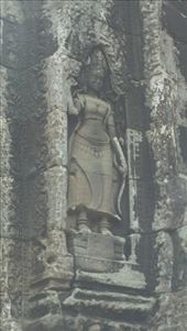 by cfitchey, Views[301]