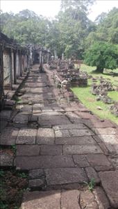 by cfitchey, Views[455]