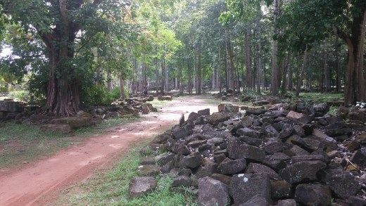 A peaceful forest between temples