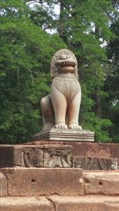 by cfitchey, Views[238]