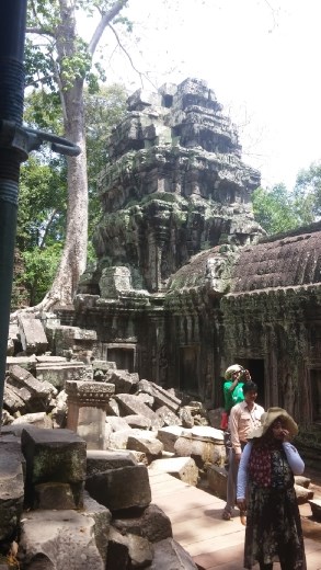 Trees have taken over and grown into the structure of the building