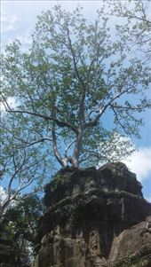 by cfitchey, Views[256]