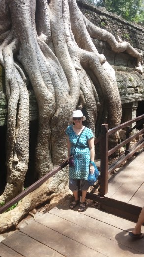 The size of the roots is unbelievable