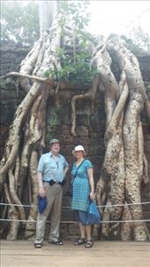 by cfitchey, Views[275]