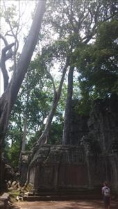 by cfitchey, Views[339]