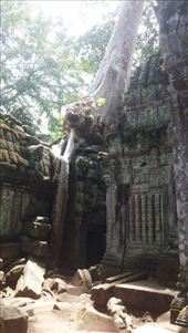 by cfitchey, Views[328]