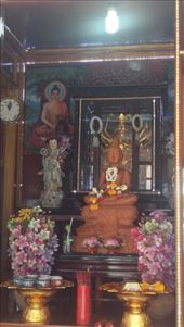 by cfitchey, Views[228]