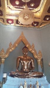 by cfitchey, Views[303]