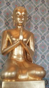 by cfitchey, Views[226]