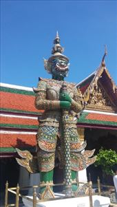 by cfitchey, Views[269]