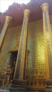 by cfitchey, Views[136]