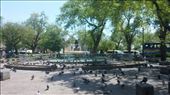Bangkok park: by cfitchey, Views[319]