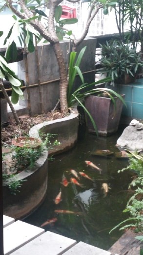 Koi pond at the hostel