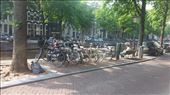 Just look at all them bicycles!: by cfitchey, Views[309]