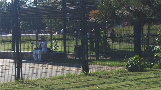 The lone trombone player