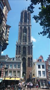 by cfitchey, Views[442]