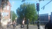 Notice the red light for bicycles: by cfitchey, Views[196]