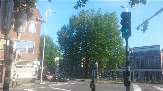 And the green light for bicycles