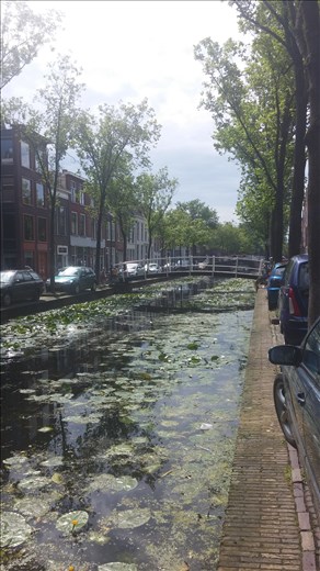 Canal in Delft