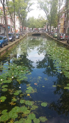 Canal in Delft