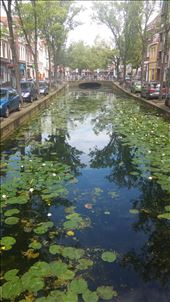 Canal in Delft: by cfitchey, Views[242]