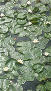 by cfitchey, Views[275]