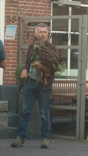 Man and his bird in market square