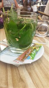 Oh so comforting fresh mint tea: by cfitchey, Views[245]