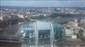 Another pod of the London Eye from our pod: by cfitchey, Views[290]