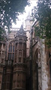 by cfitchey, Views[238]