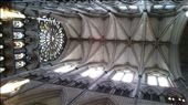 Vaulted ceiling: by cfitchey, Views[266]