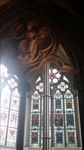 by cfitchey, Views[252]