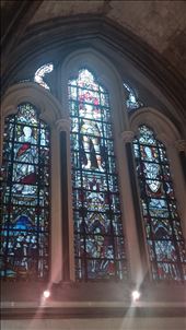 by cfitchey, Views[238]