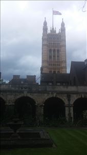 by cfitchey, Views[271]