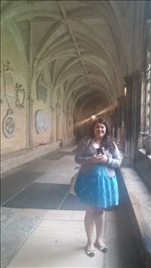 by cfitchey, Views[255]