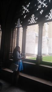 by cfitchey, Views[241]