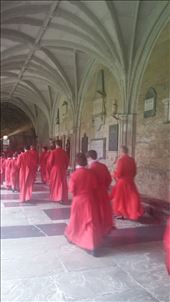 Around the Abbey: by cfitchey, Views[222]