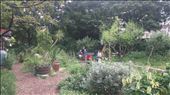City Farm: by cfitchey, Views[295]