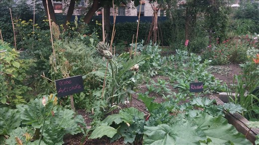 City Farm Garden