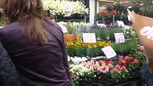 Flower market