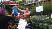 East End Flower Market: by cfitchey, Views[943]
