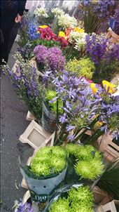 by cfitchey, Views[418]